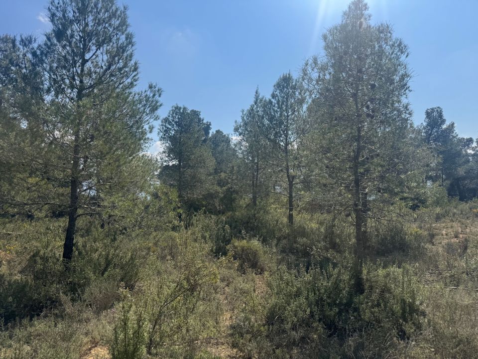 Tomt i Cretas, Teruel - bilde 3